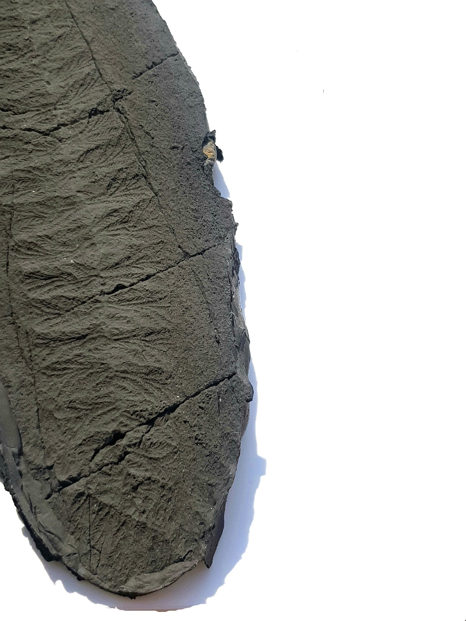 The Proterozoic  <br>  2.5 billion - 541 millon years ago