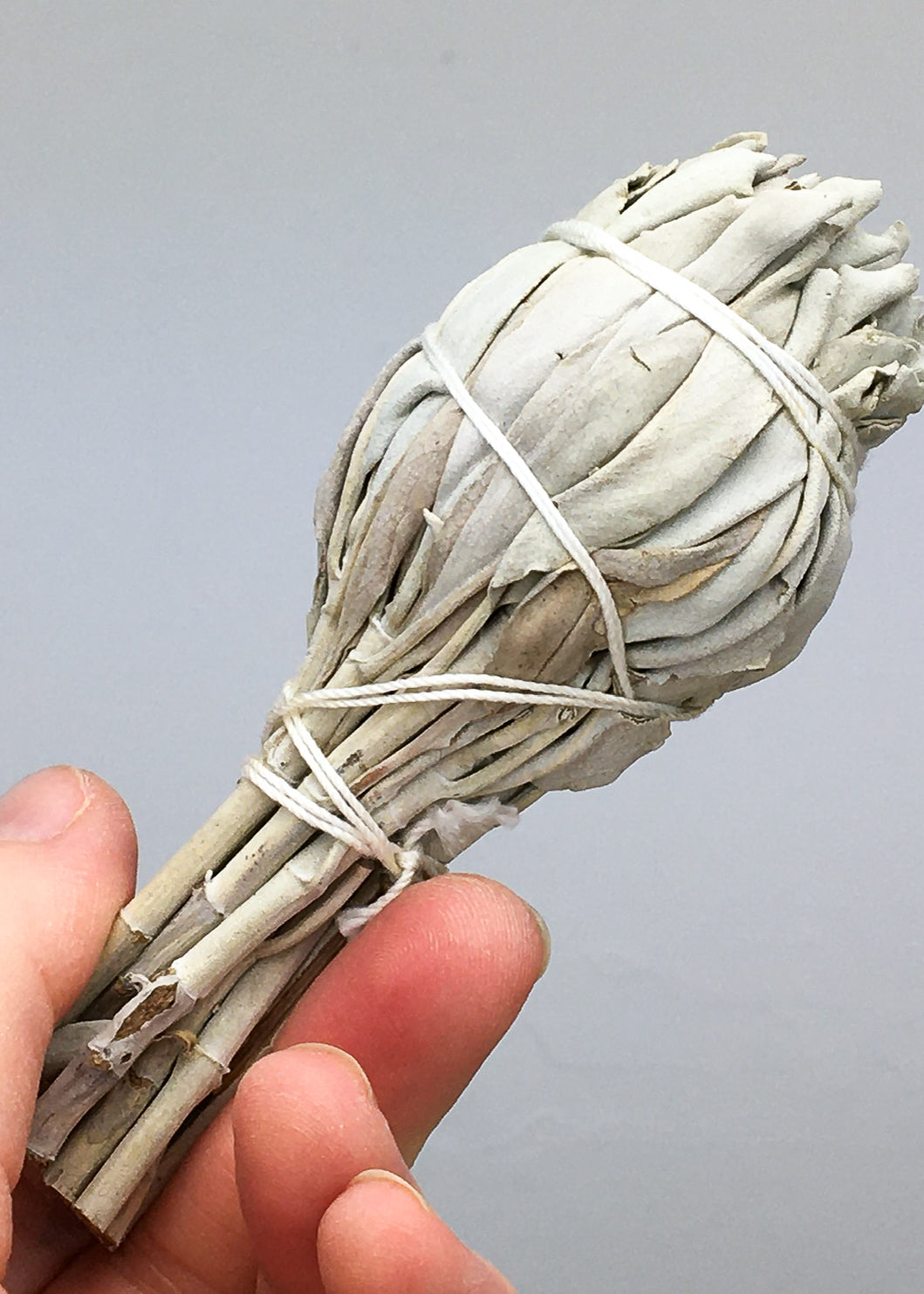 white sage bundle between two fingers
