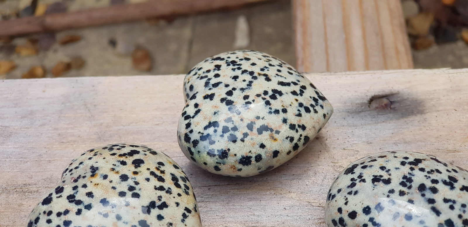 Dalmatian jasper heart - The Science of Magic 