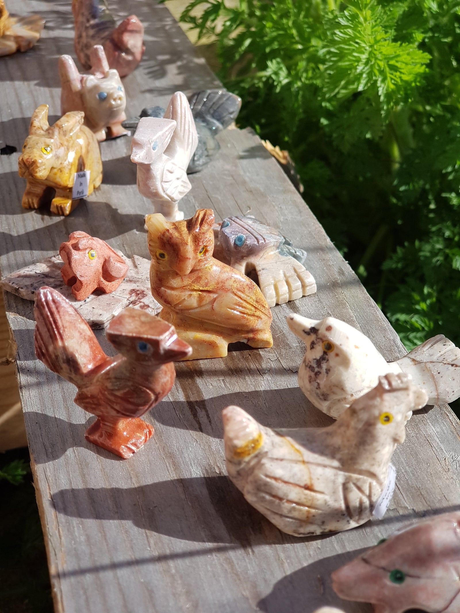 Pocket pet - The Science of Magic 