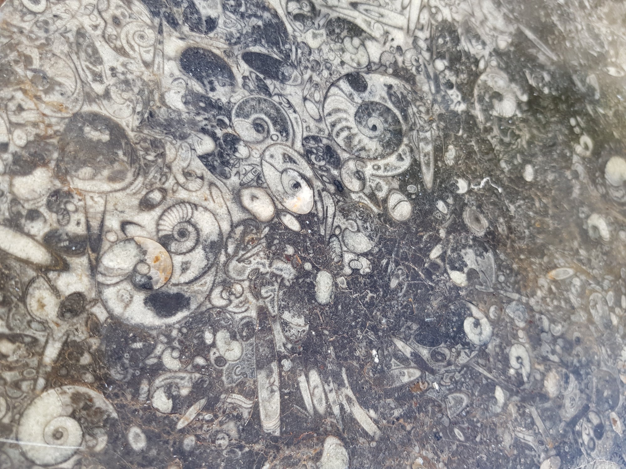 The remains of an ancient seafloor - The Science of Magic 