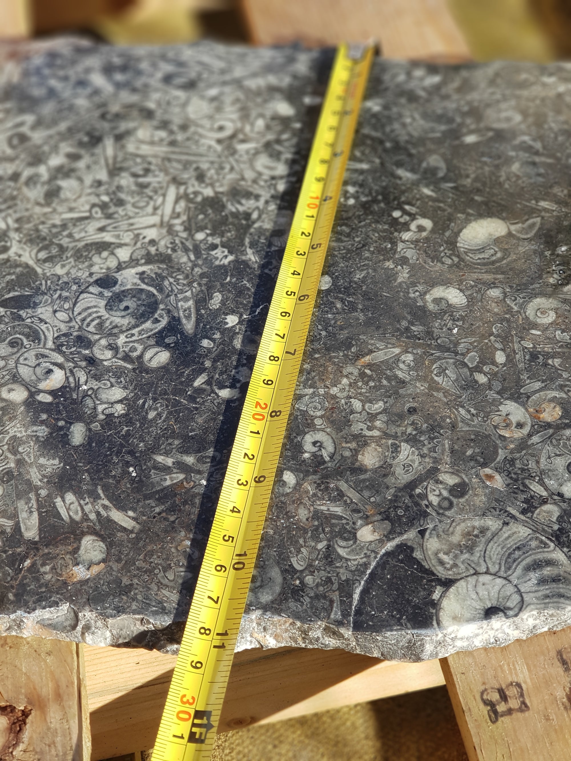 The remains of an ancient seafloor - The Science of Magic 