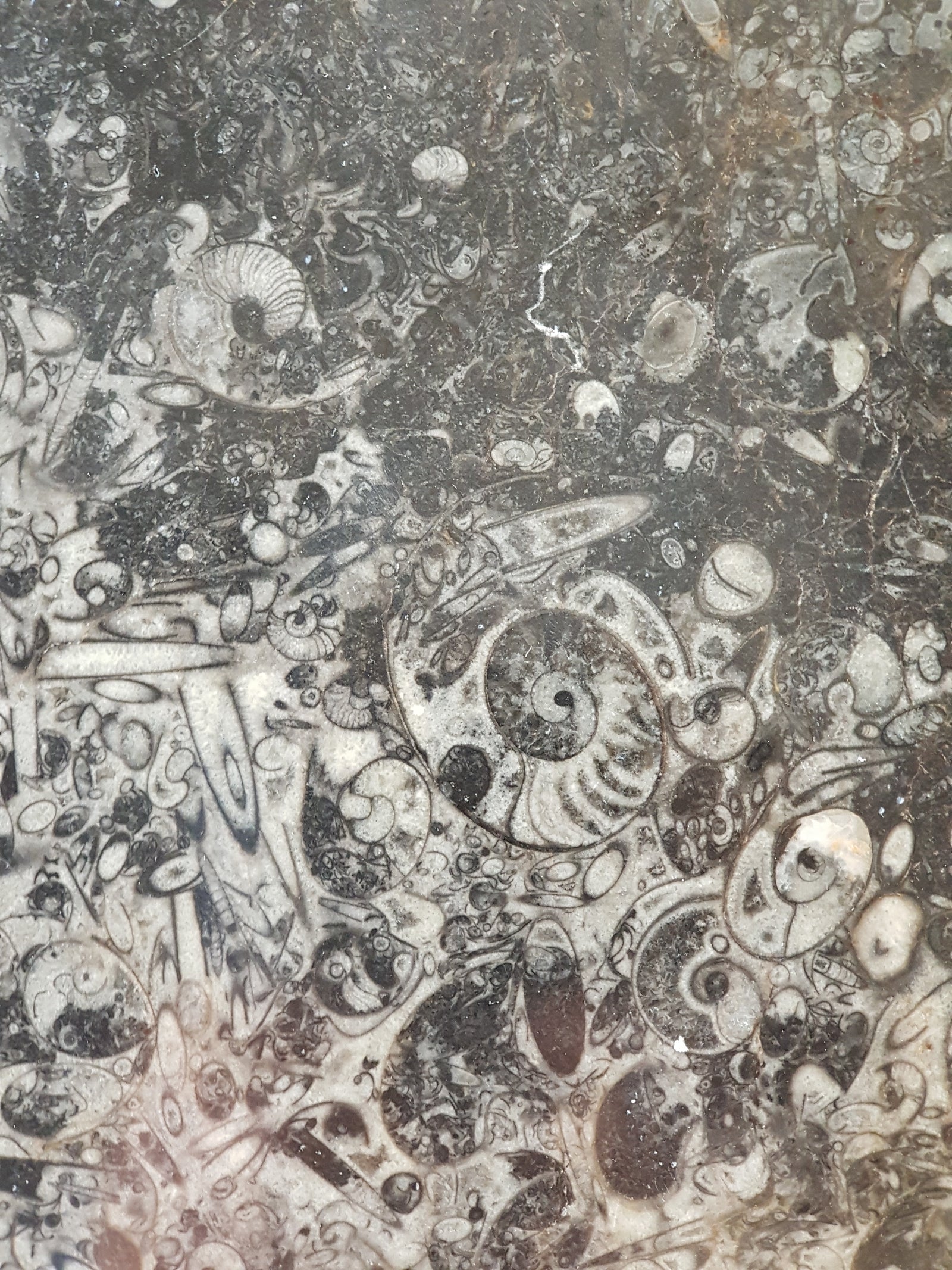 The remains of an ancient seafloor - The Science of Magic 