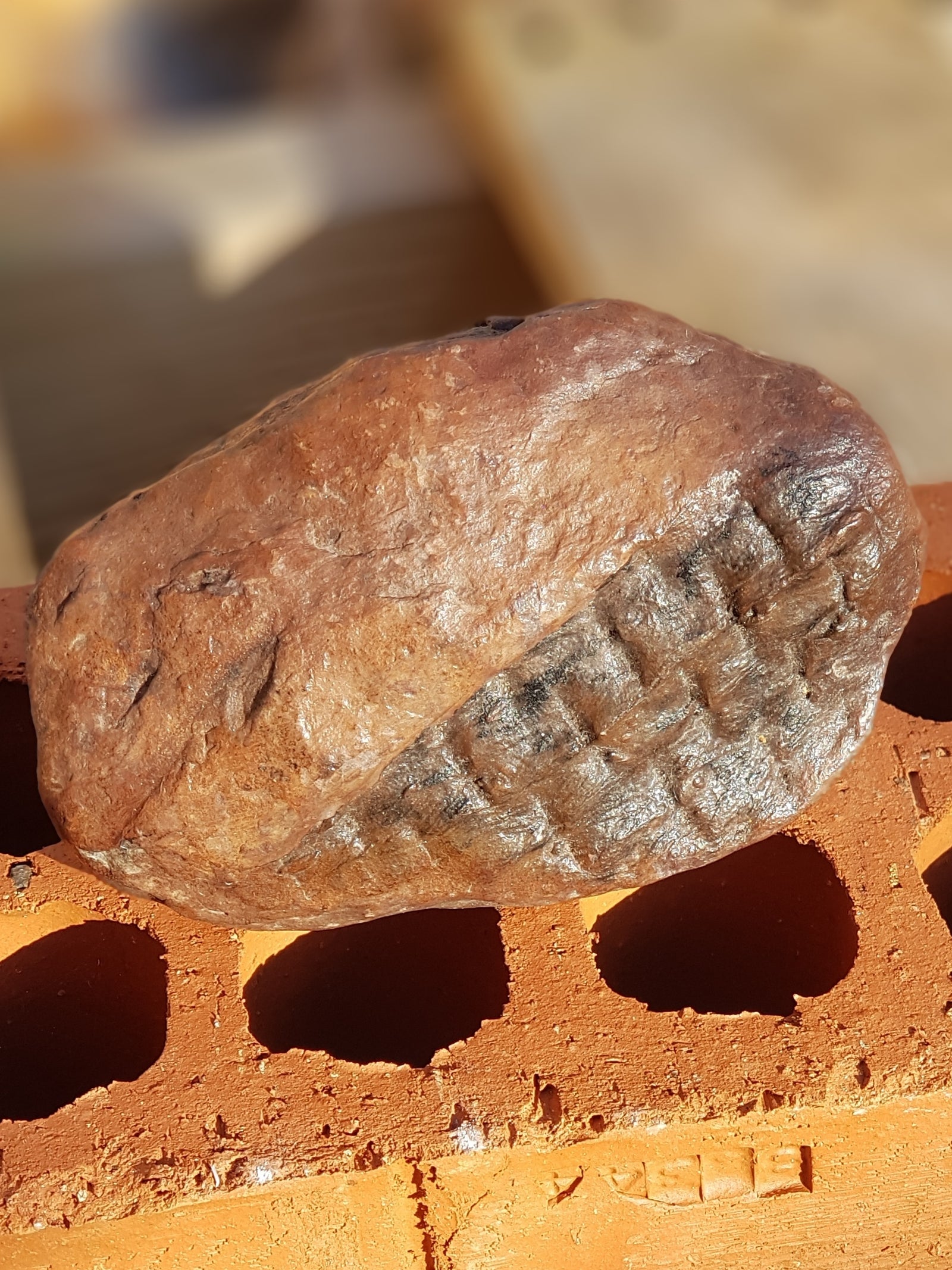 Club Moss - The Science of Magic 