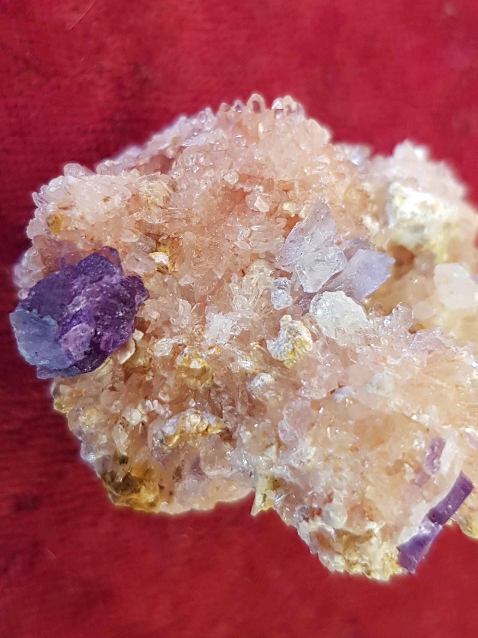 Creedite - The Science of Magic 