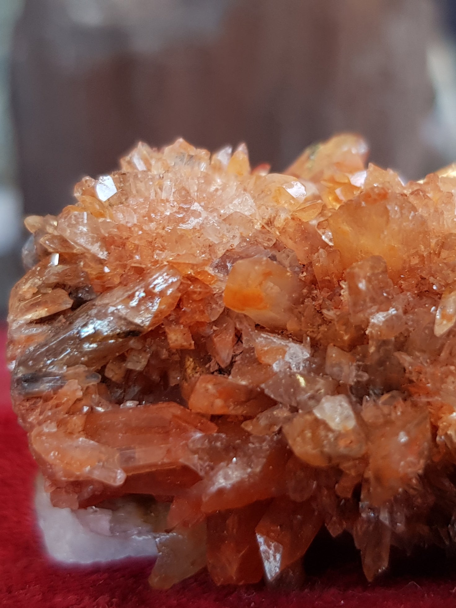 Creedite - The Science of Magic 