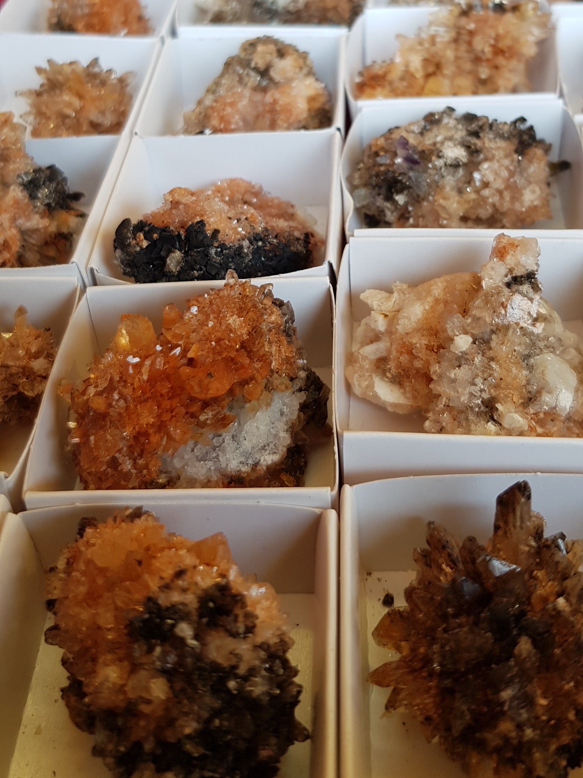 Creedite - The Science of Magic 