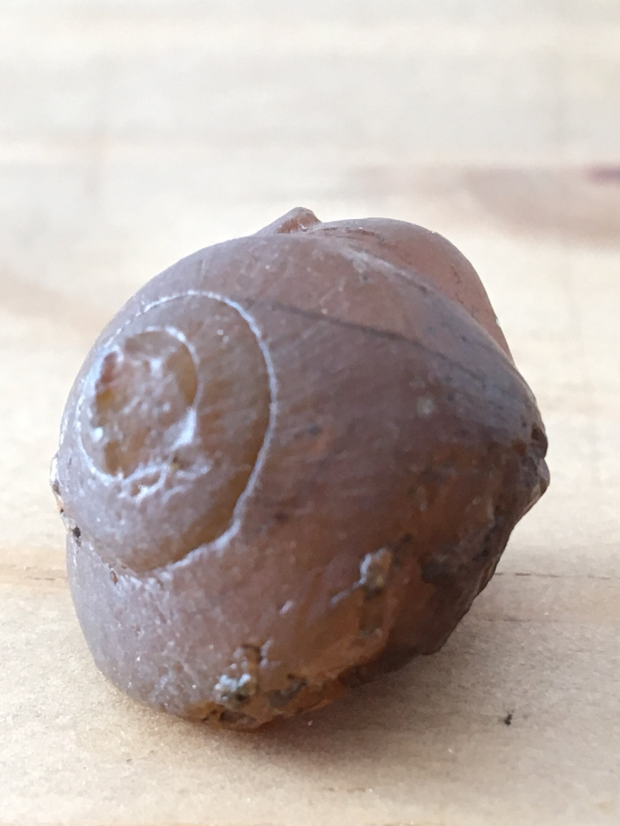 Honey calcite turitella - The Science of Magic 