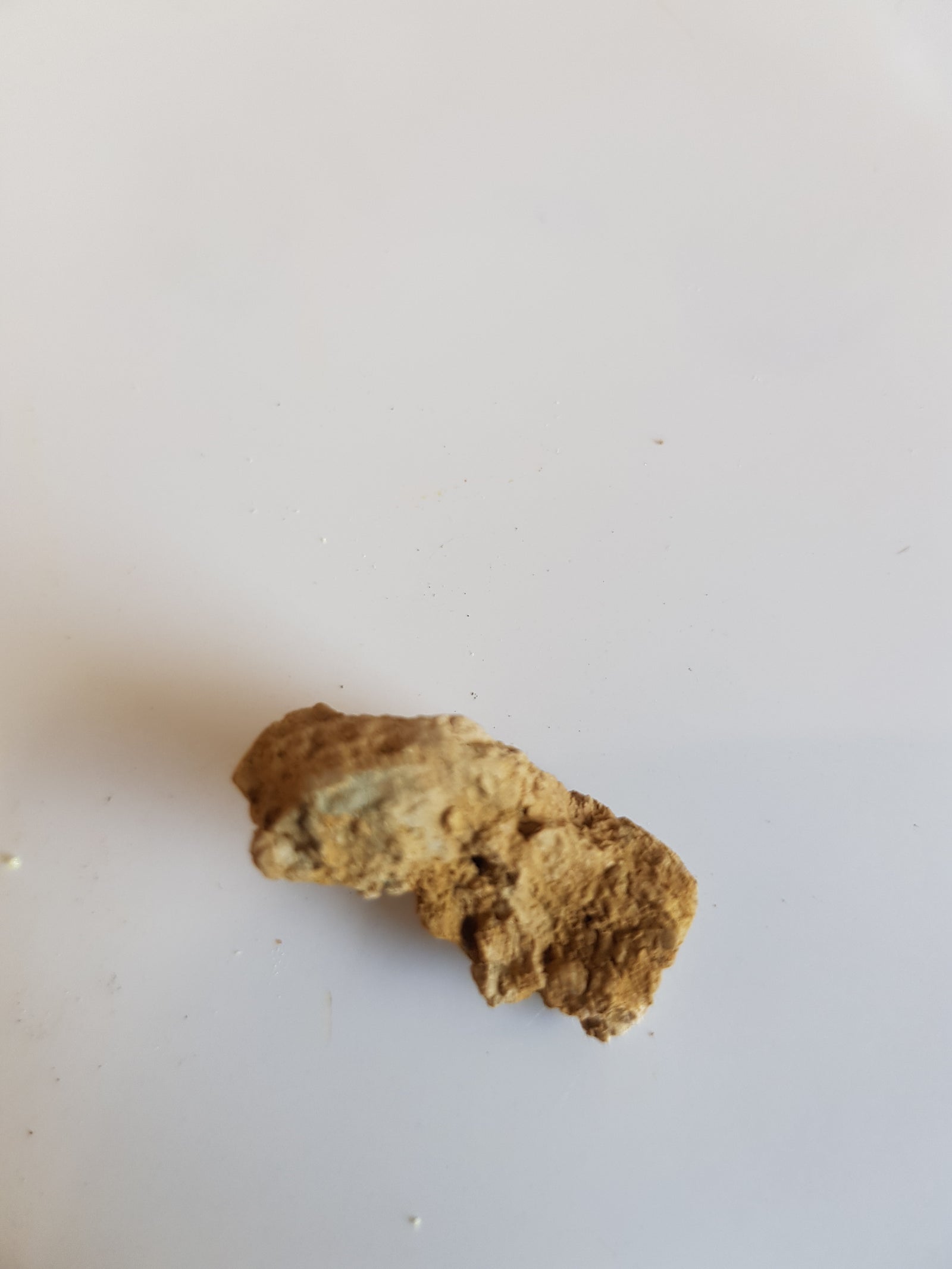 K-T  boundary france - The Science of Magic 