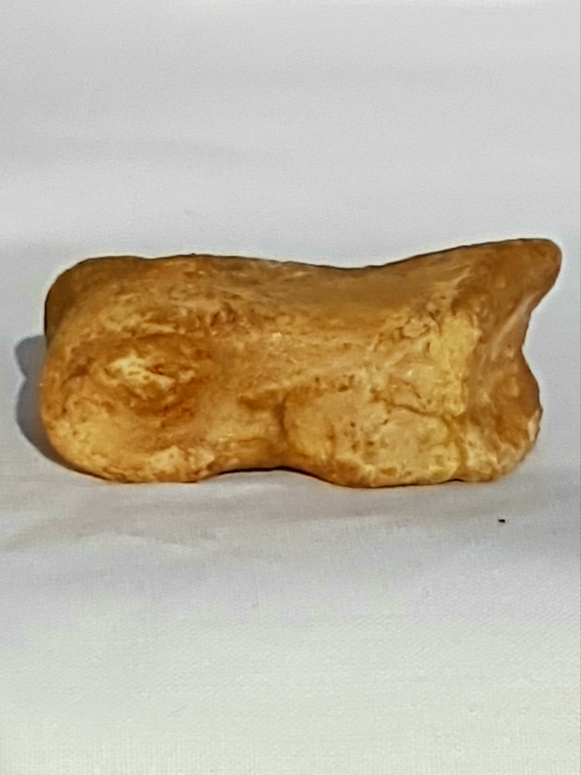 Dinosaur toebone - The Science of Magic 