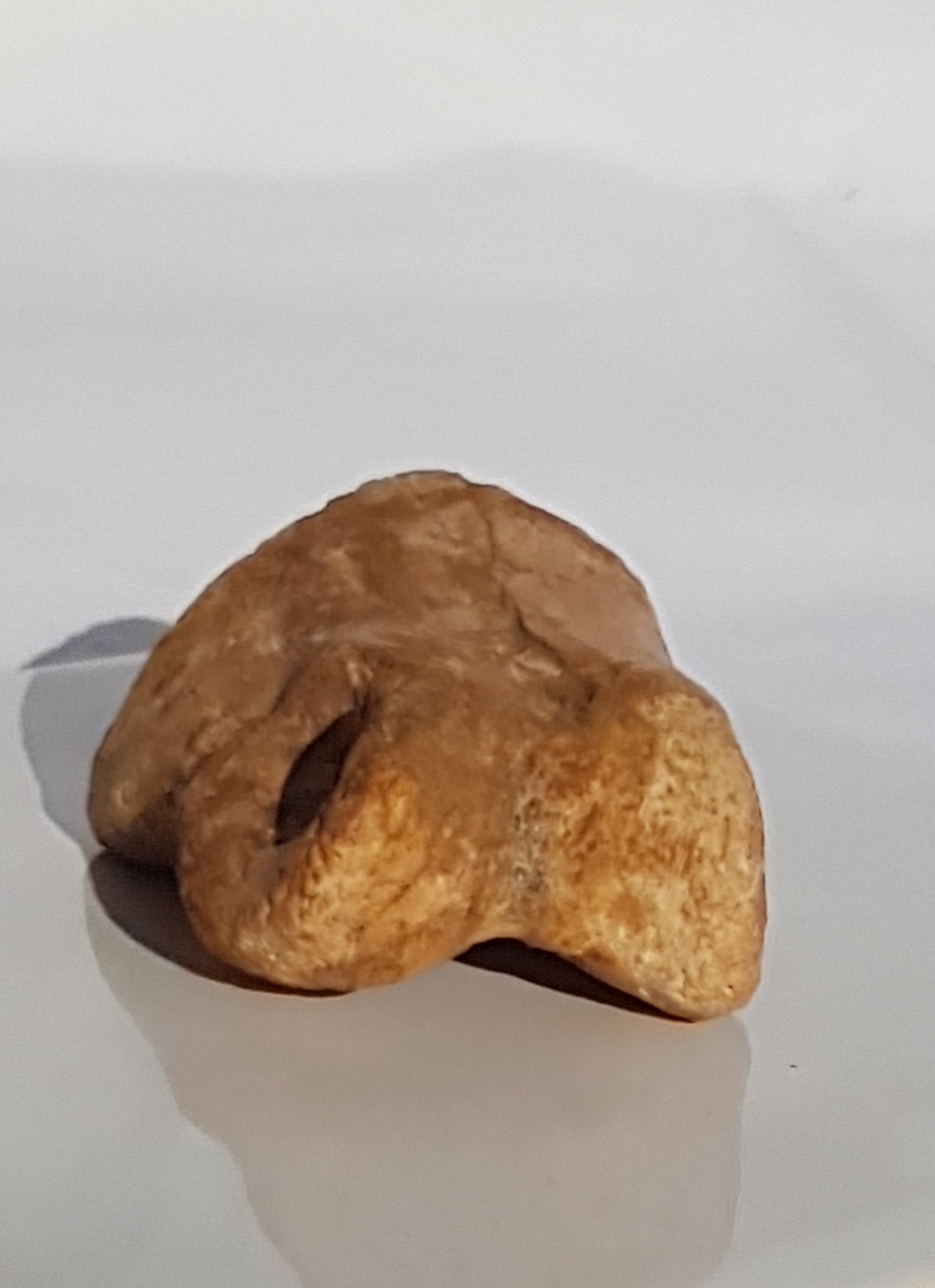 Dinosaur toebone - The Science of Magic 