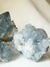two druzy celestite clusters. the crystals are well formed and translucent. They are blue grey in colour