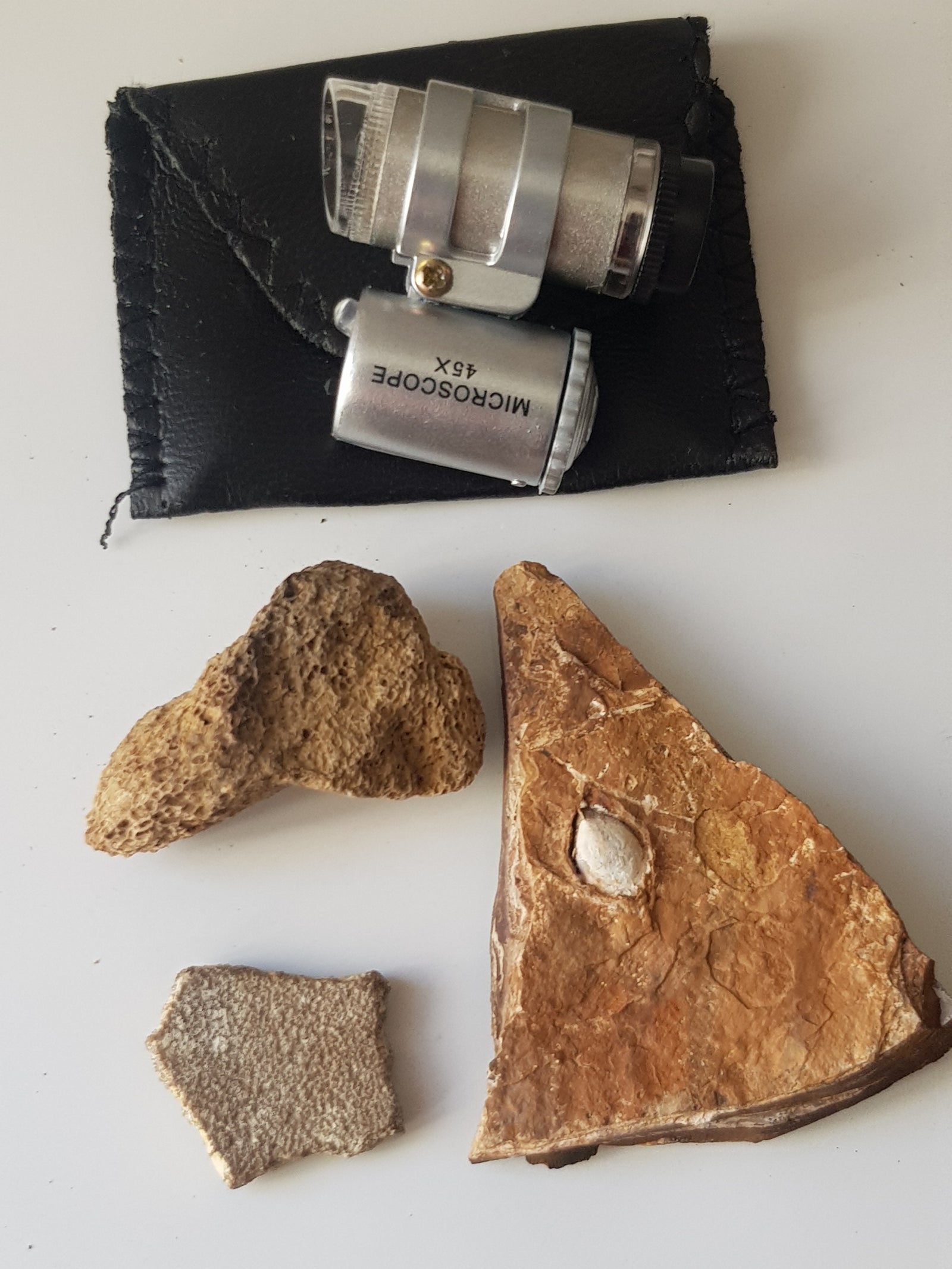 Fossil starter kit + microscope (land) - The Science of Magic 