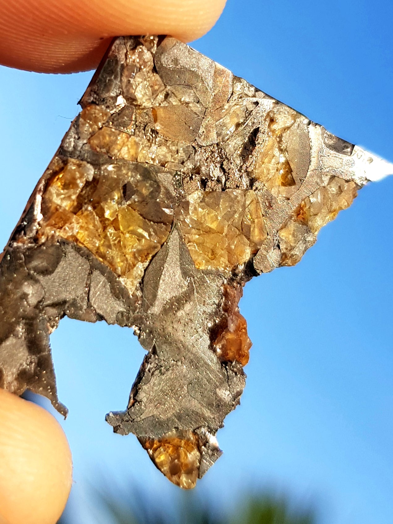 Brahin (Pallasite) - The Science of Magic 