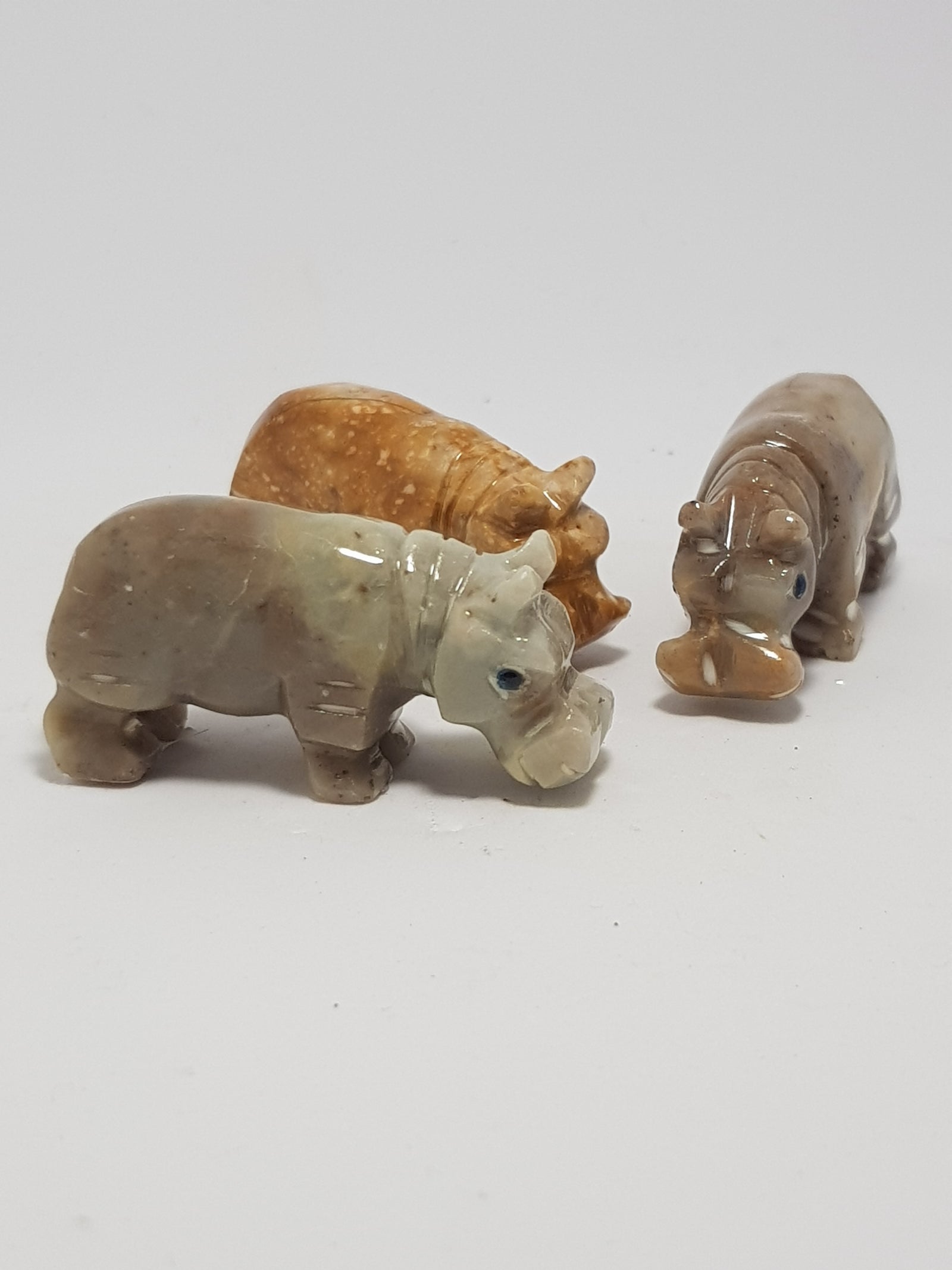 Hippo - The Science of Magic 