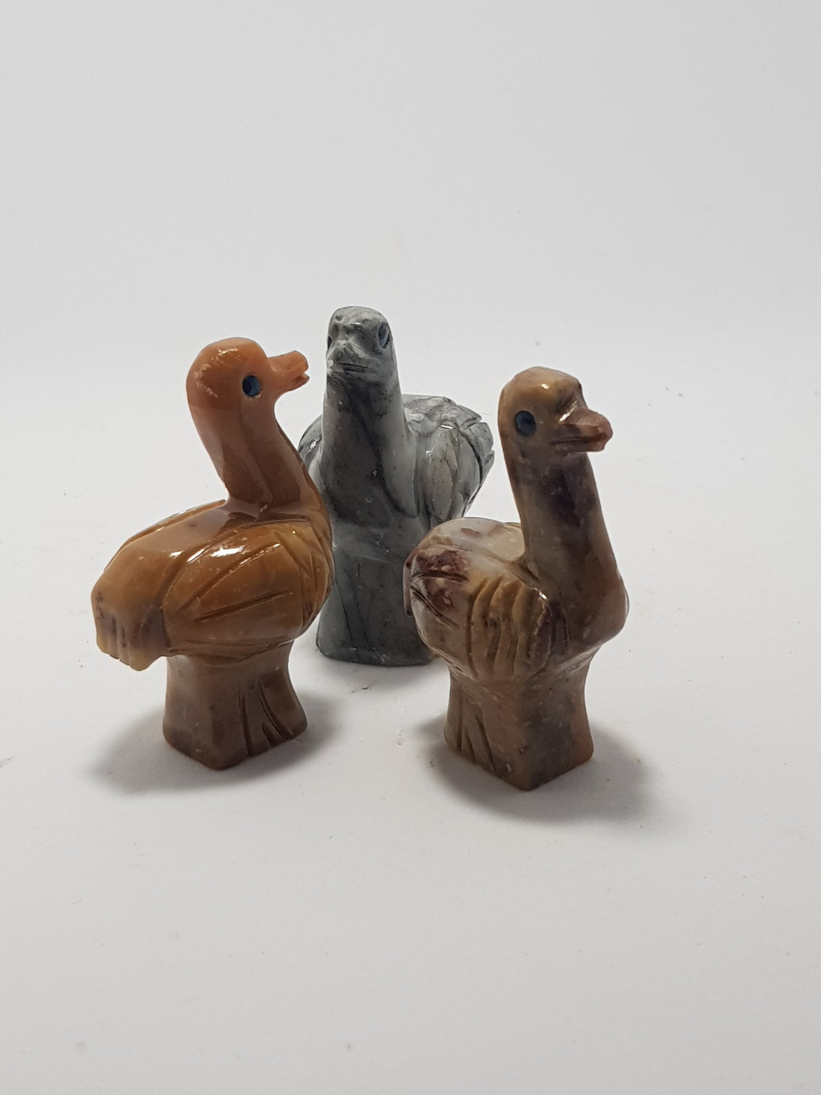 Ostrich - The Science of Magic 