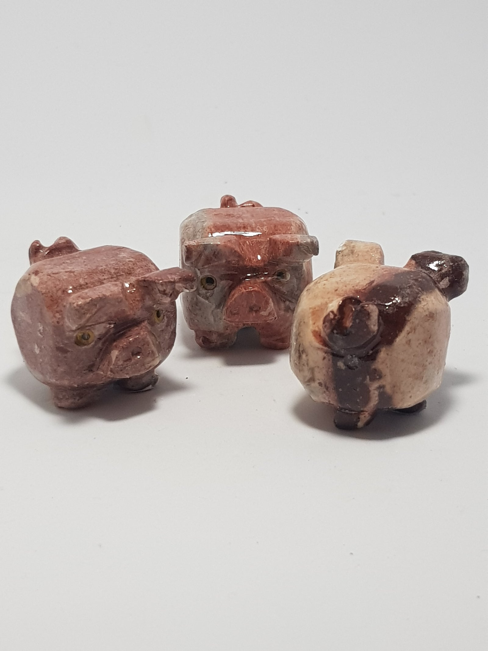 Little piggy - The Science of Magic 