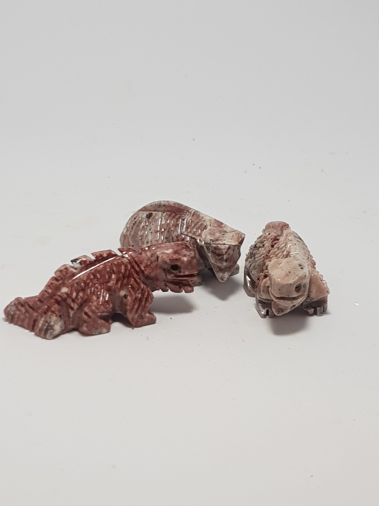 Iguana - The Science of Magic 