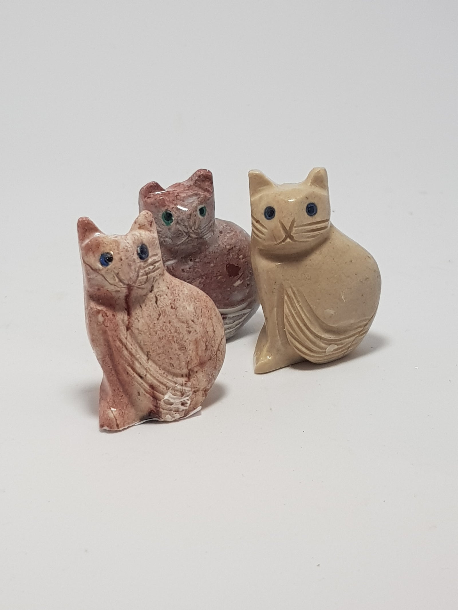 Cat - The Science of Magic 