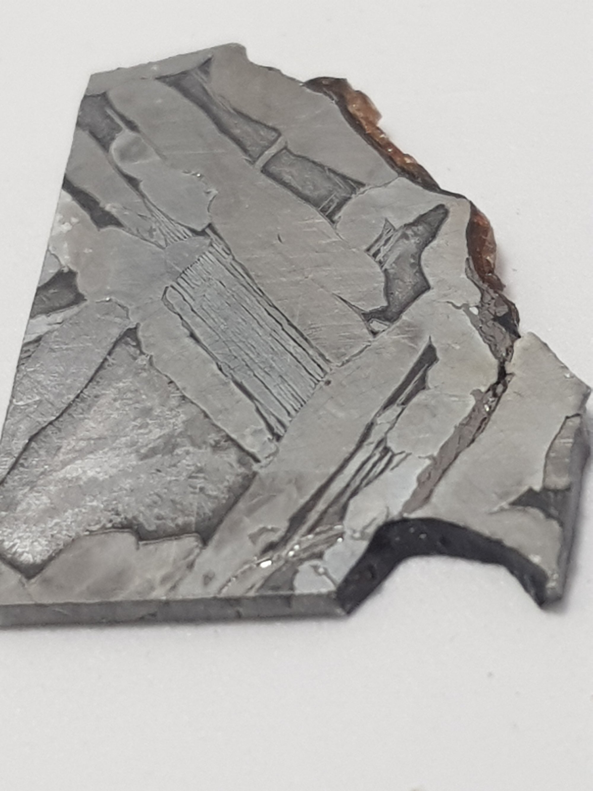an acid etched cross section of fukang. The sample has straight edges where it has been cut. there is a gap on the bottom right and a rough edge along the top right. The edge on the top right shows signs of remnants of a reddish brown material. These were the locations of olivine crystals which are not present on this sample. The metal has a distinctive widmanstatten pattern.