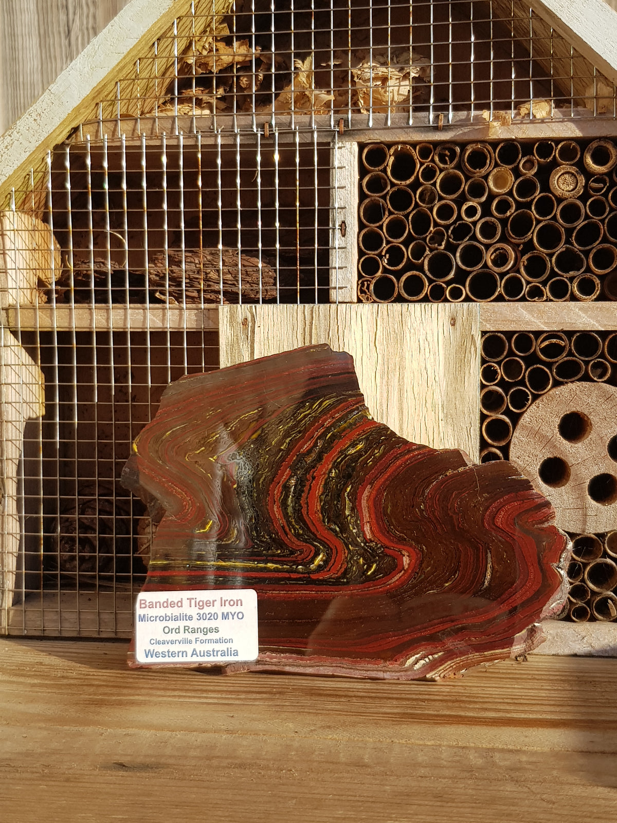 a slice of a banded iron formation is leant against a decorative birdhouse. The banded iron formation consists of thin laminations of red jasper and silvery hematite, interspersed with some tiger eye. the laminations are bendy. There is a label on the sample, it gives geographic information about the sample and this is typed up and present on the write up on the web site