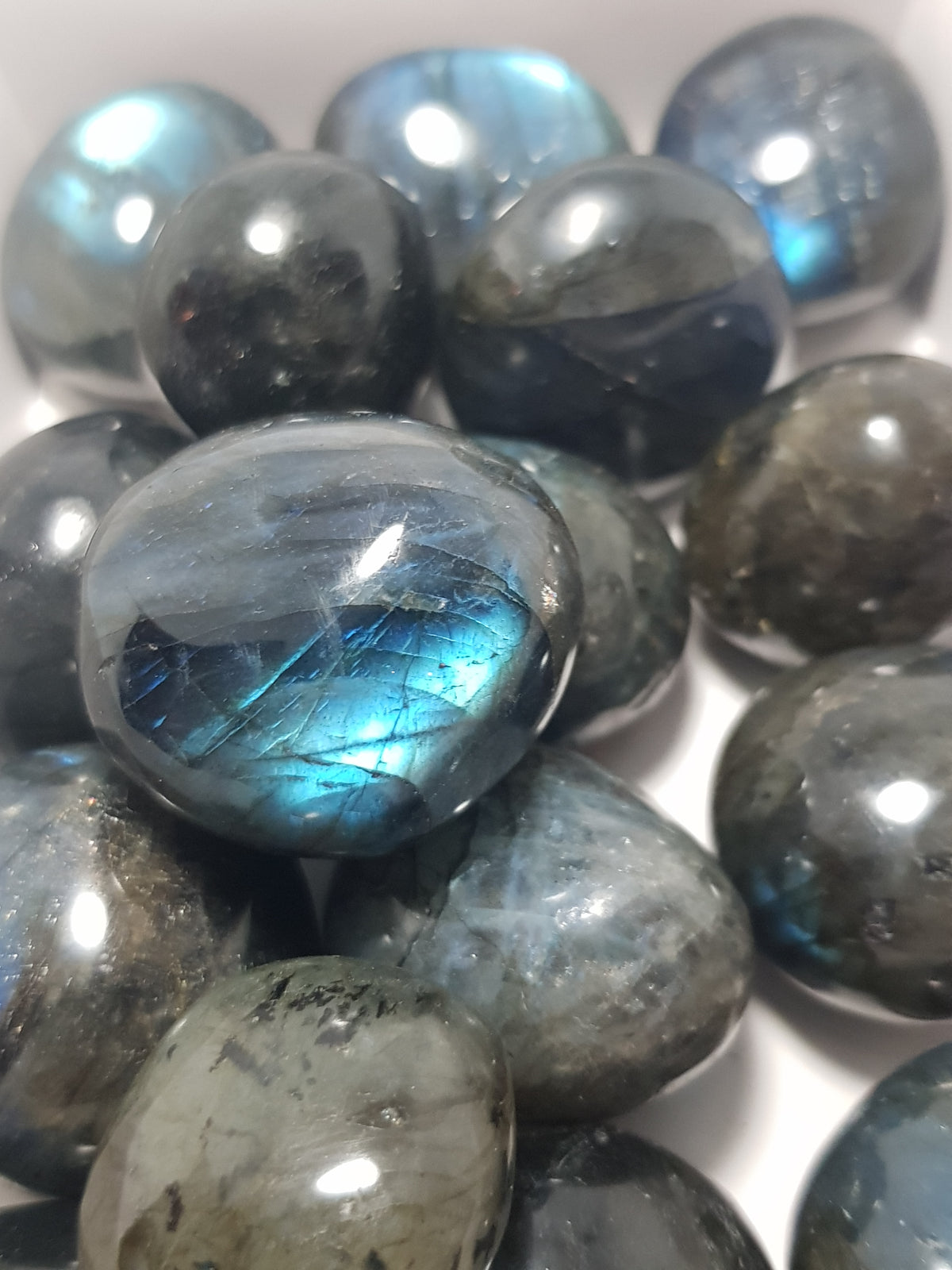 a small cluster of labradorite pebbles, which show bright blue labradorescence.