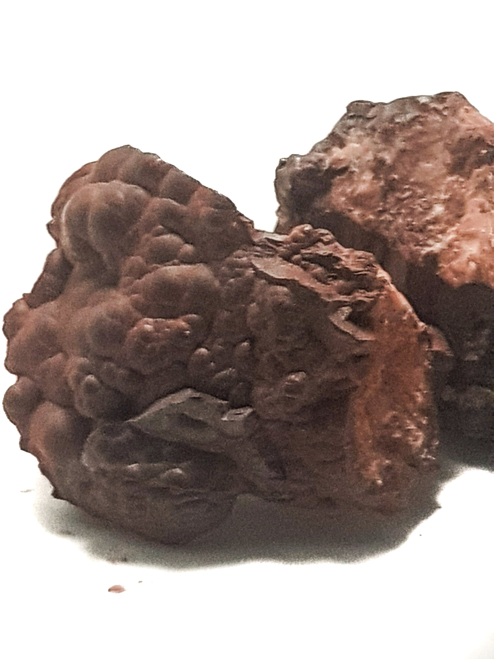 two samples of raw bottroydial hematite. One sample shows the bubbly surface, the other sample shows that the bubbles are layered when cut through. 