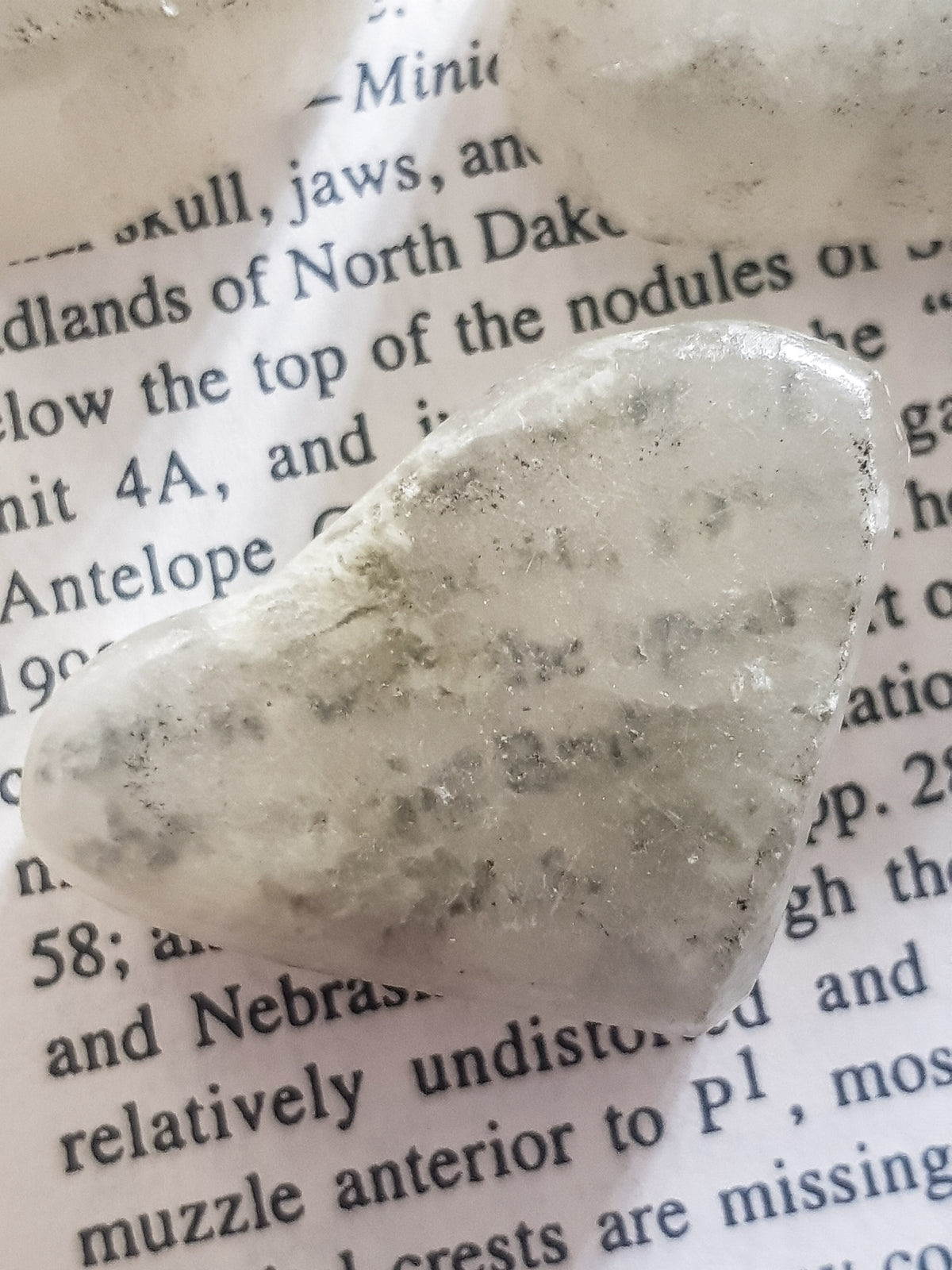 a polished sample of ulexite which has been placed on top off black and white text. The text appears to have moved to the surface, although the effect is not clear.