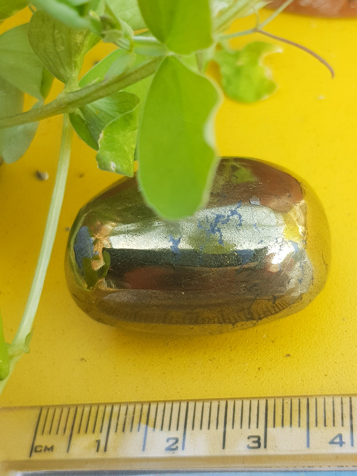 polished chalcopyrite pebble next to a ruler for scale. It is 3.5cm long