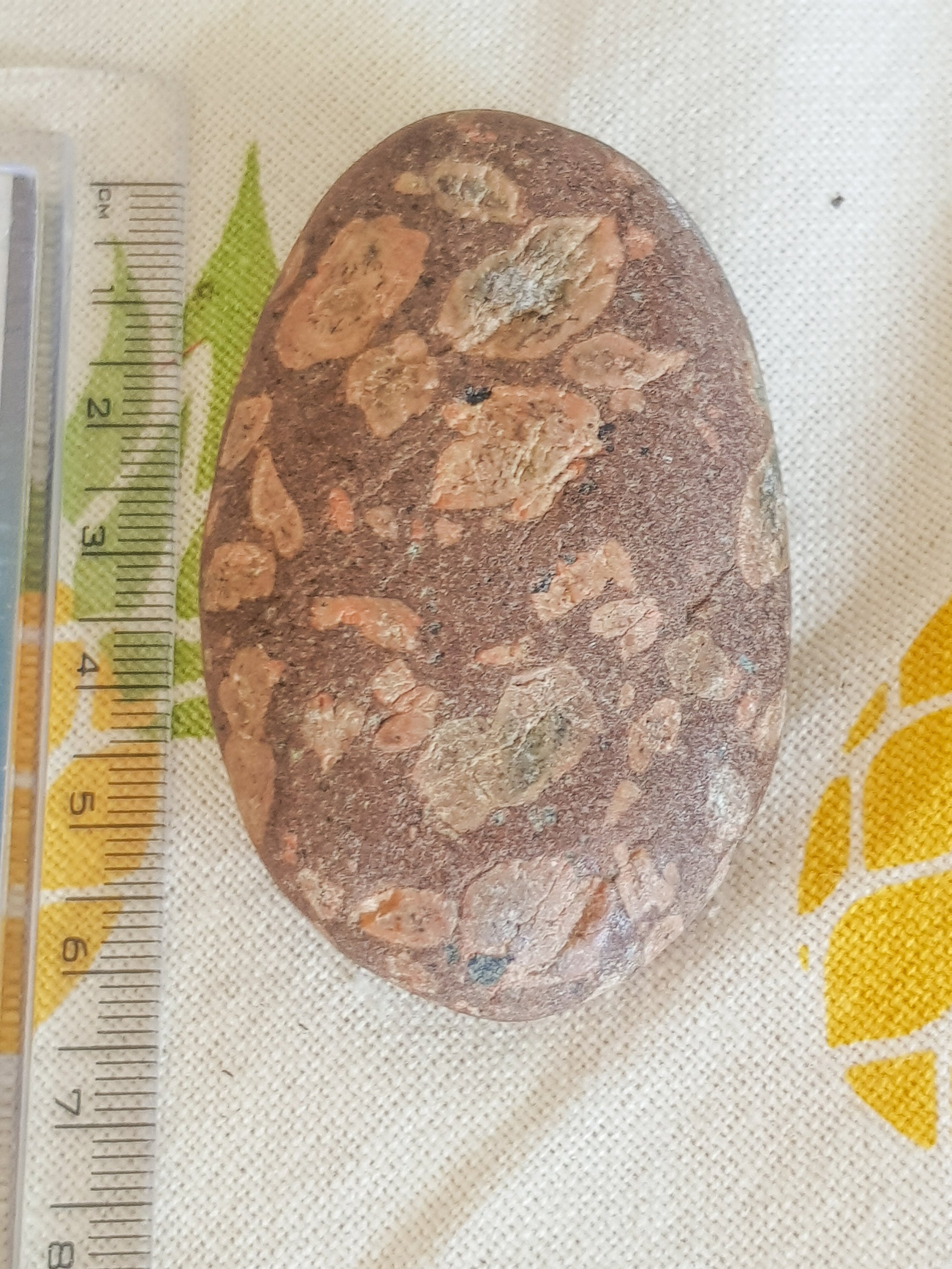 Rhombic porphyry pebble. This sample is held against a ruler. it is 7cm along its longest face