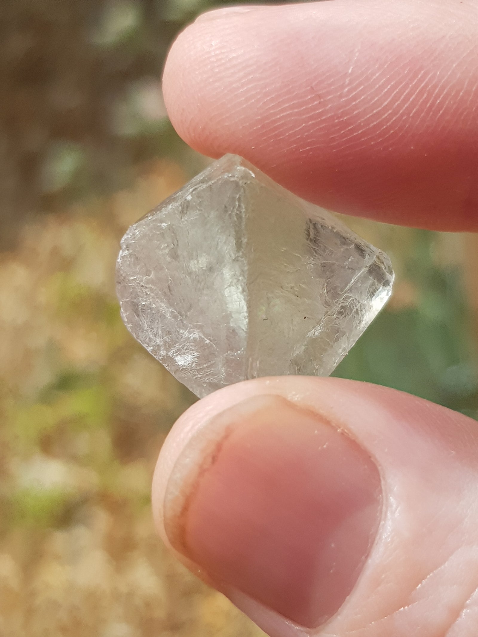 Fluorite octohedra held between fingertips for scale. The sample is pale green
