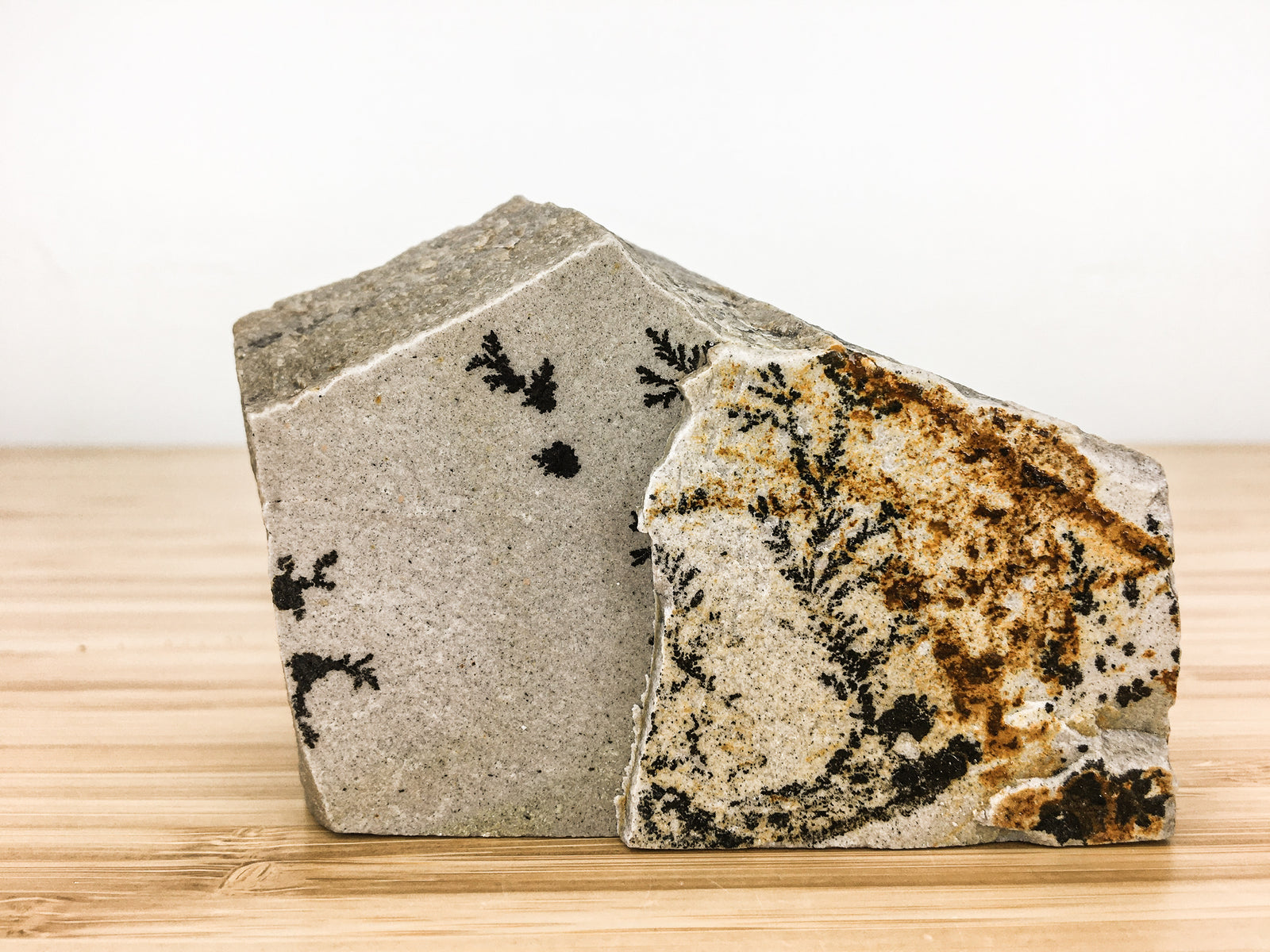 This is a sample of limestone. It contains  black patterns which look like leaves or feathers -- these are actually dendritic crystals of manganese oxide