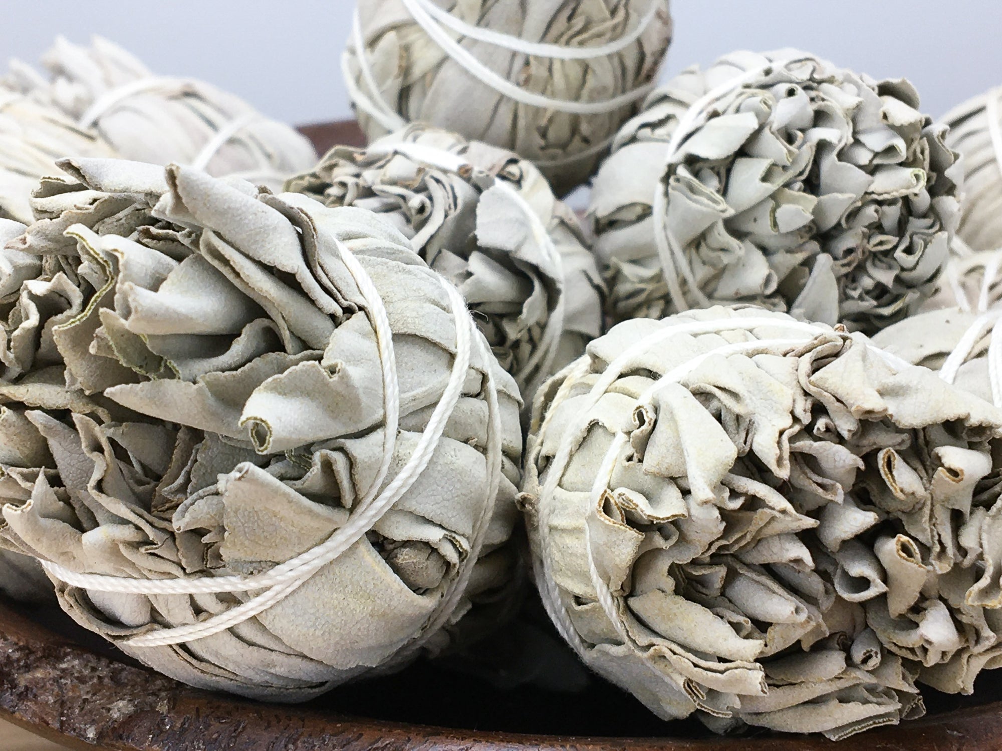 close up of white sage smudge sticks