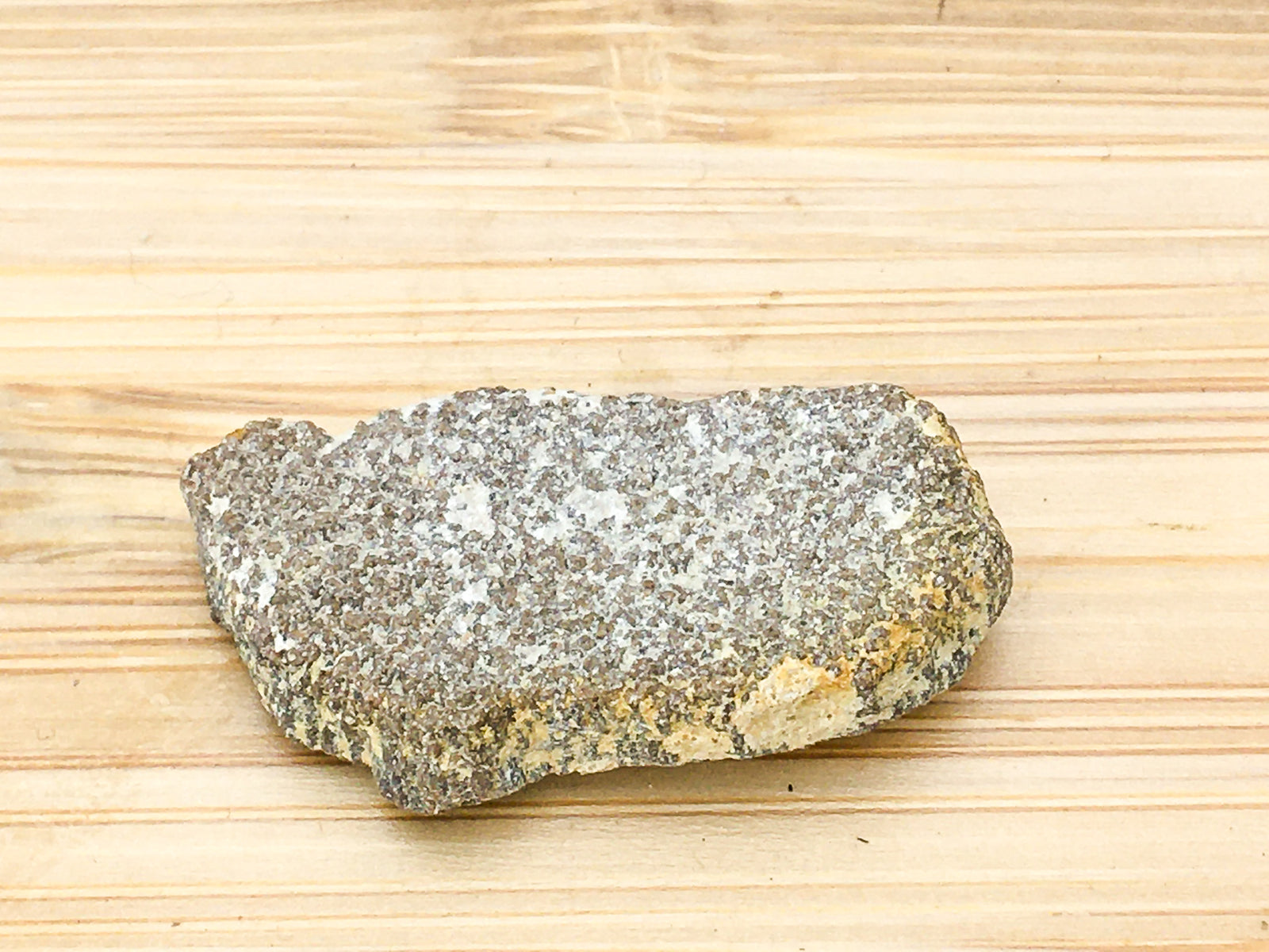 fragment of dinosaur eggshell -- titanasaurus