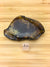 a polished chunk of Amber from Sumatra. The sample is next to a 1cm cube for scale. It is about 6cm long and 4 cm wide