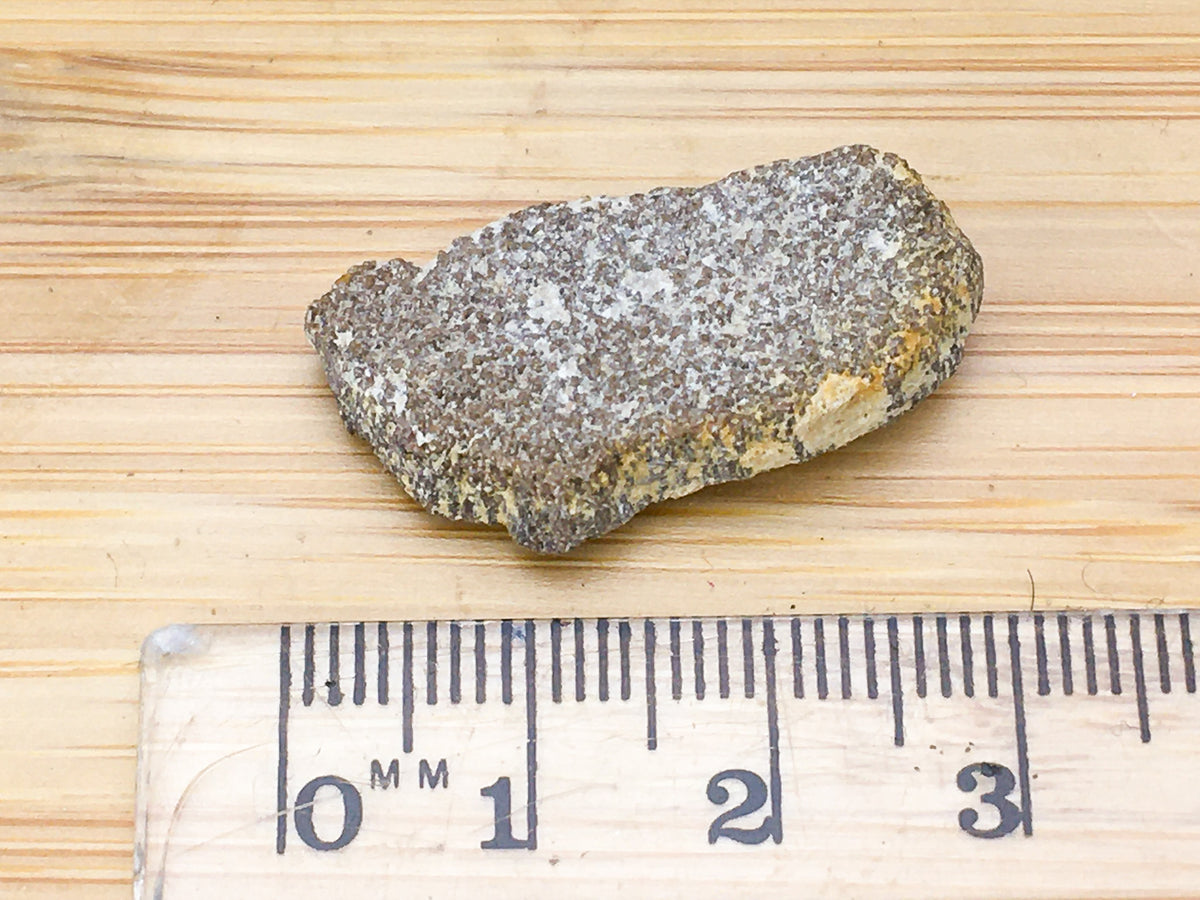 fragment of titanosaurus eggshell next to a ruler. It is 3 cm