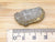 fragment of titanosaurus eggshell next to a ruler. It is 3 cm