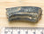 Ice age horse tooth fossil -- equals mexicanus. This sample is next to a ruler. it is 5cm long