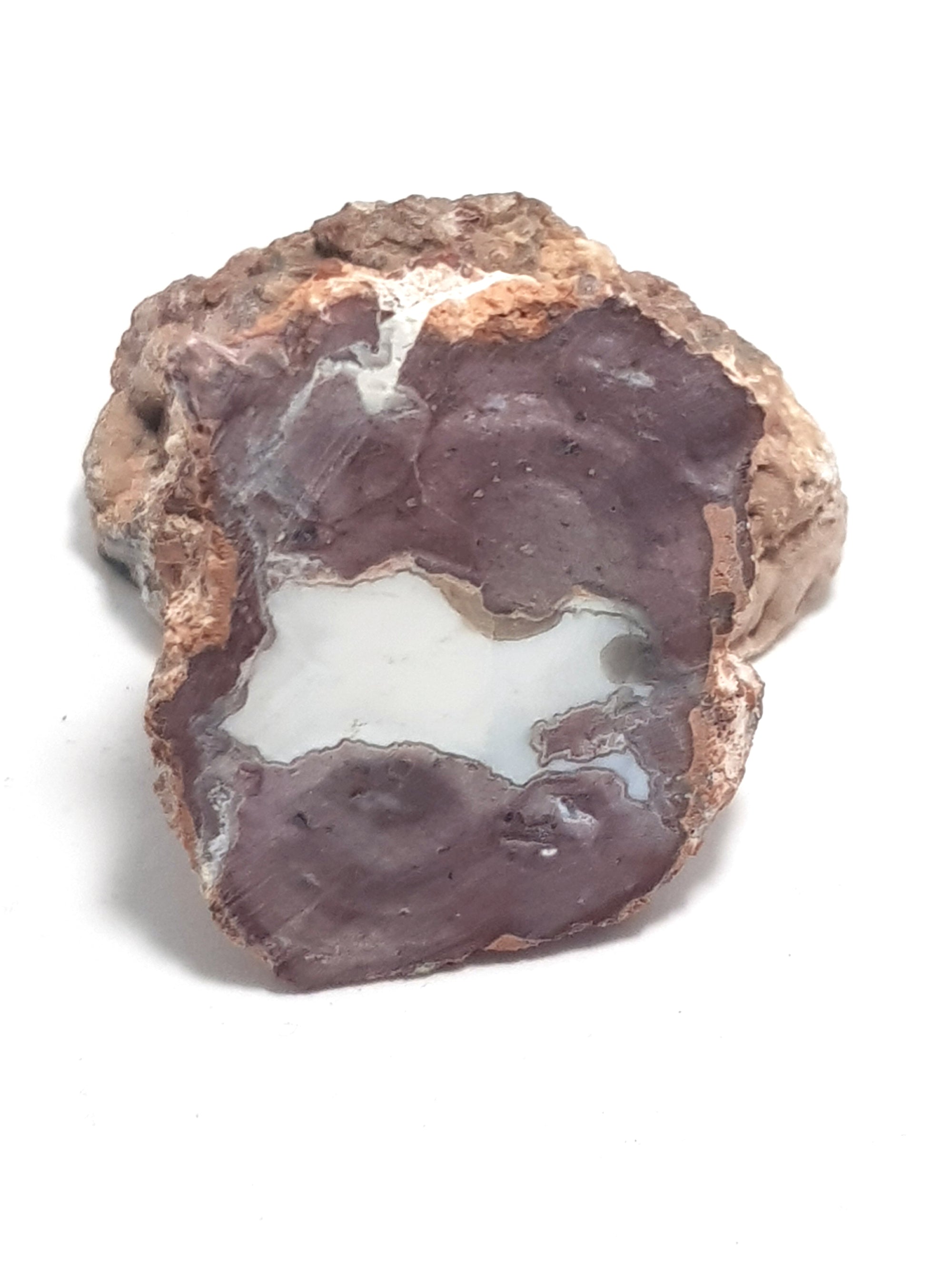 an agate geode cut in half and semi polished. The exterior of the geode is rough, the sliced interior is banded. the outer layers look bubbly and are mauve. The centre of the slice is white.