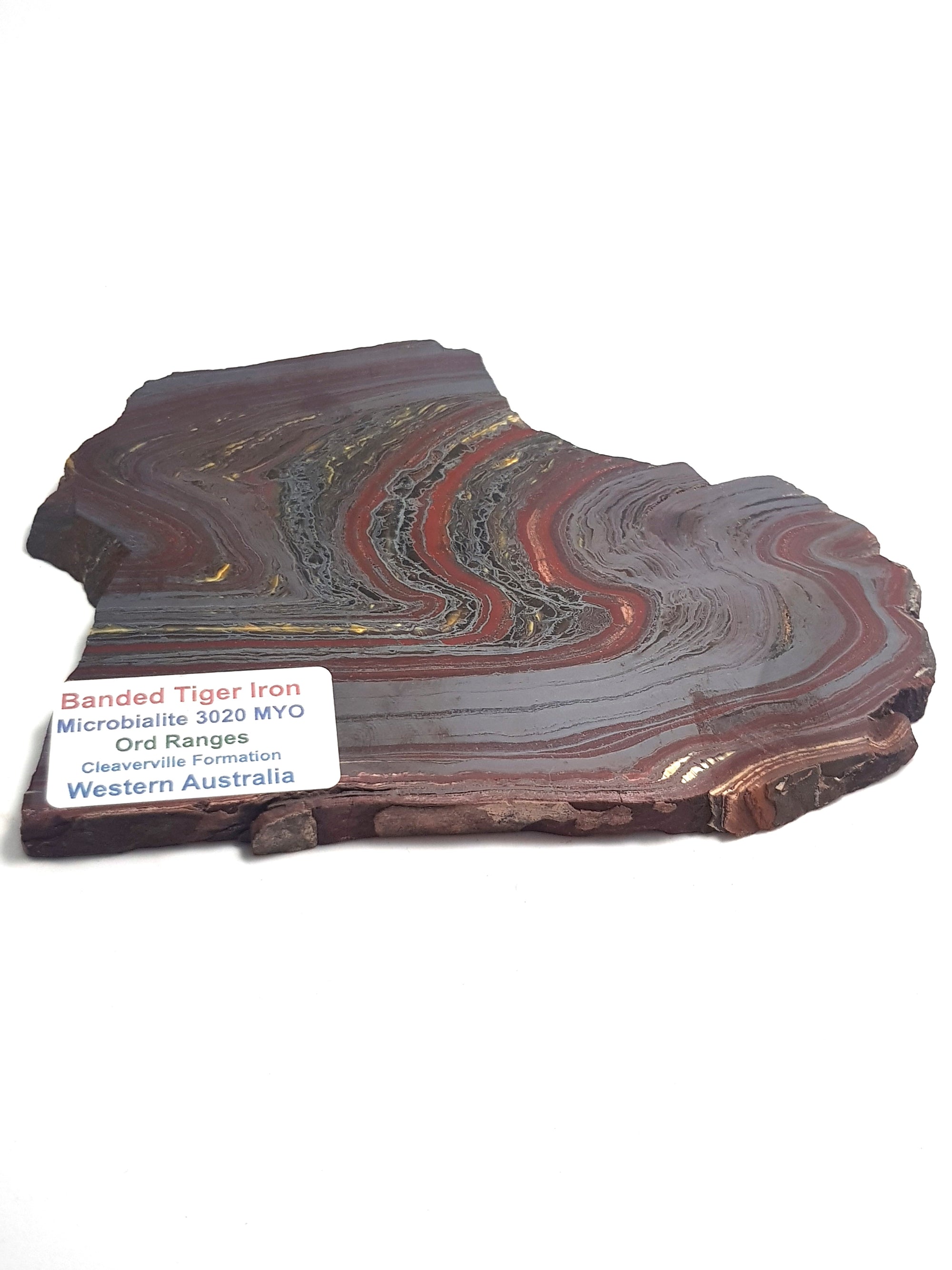 banded iron formation. consists of thin interspersed laminations of hematite and red jasper, with some tiger eye. The original beds have been twisted and squeezed together bending the layers. A printed label on the sample gives its origin and age, this info is present on the entry on the website..