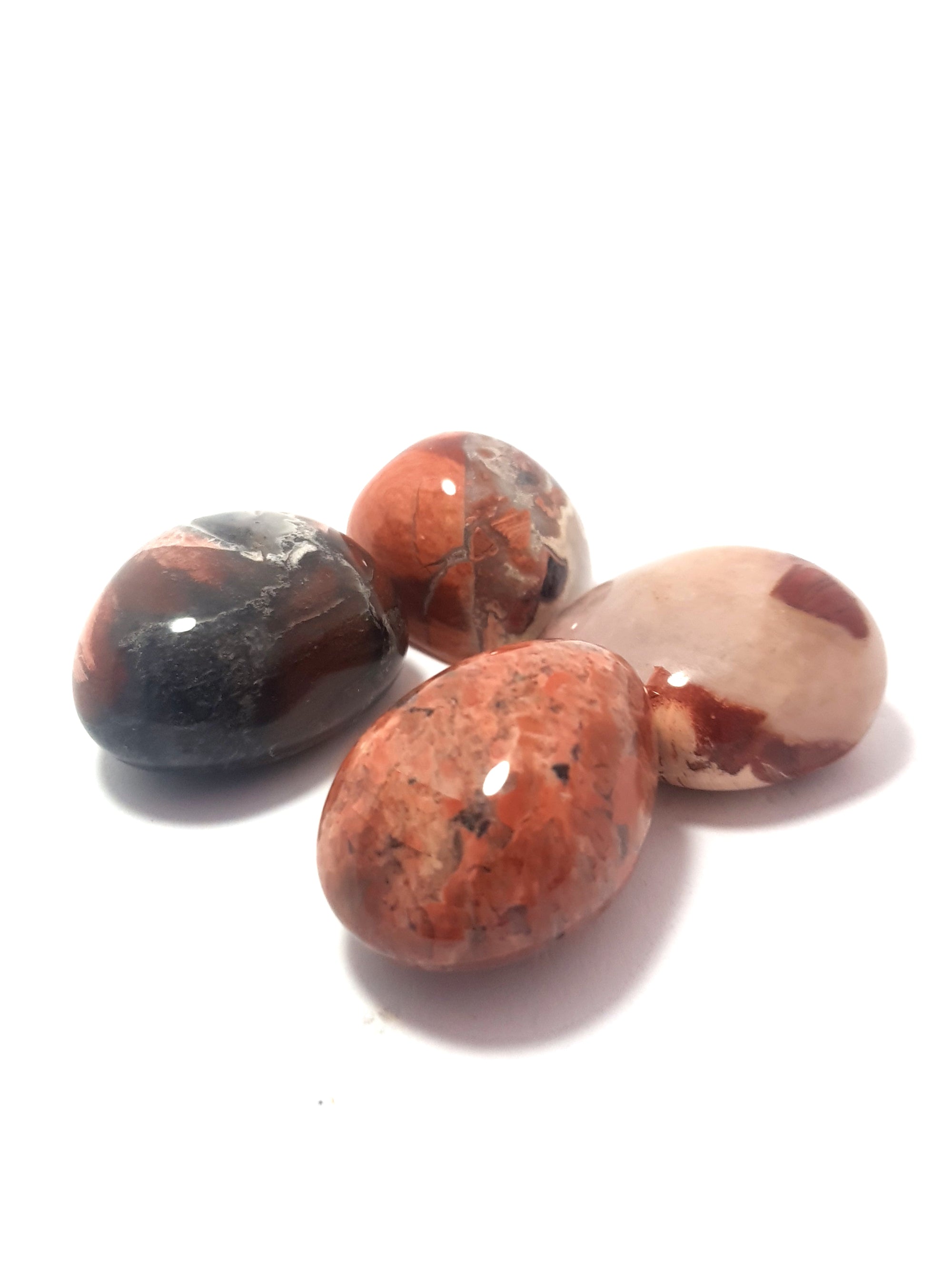 four pieces of breciated Jasper. The samples are not uniform in colour and consist of clearly defined areas which are a dark reddish brown and areas which are tan coloured.