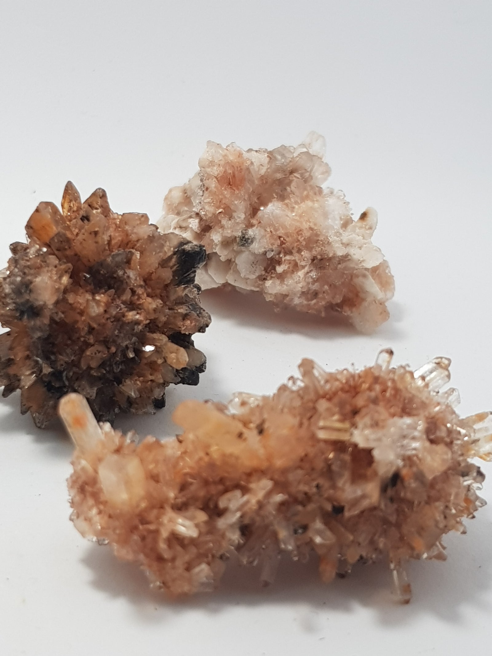 Creedite - The Science of Magic 