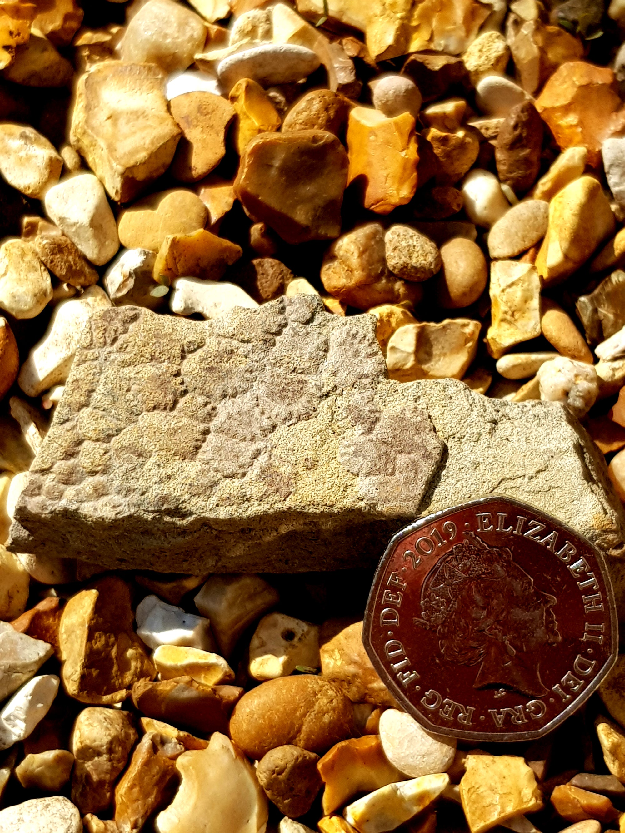 Dinosaur skin - The Science of Magic 