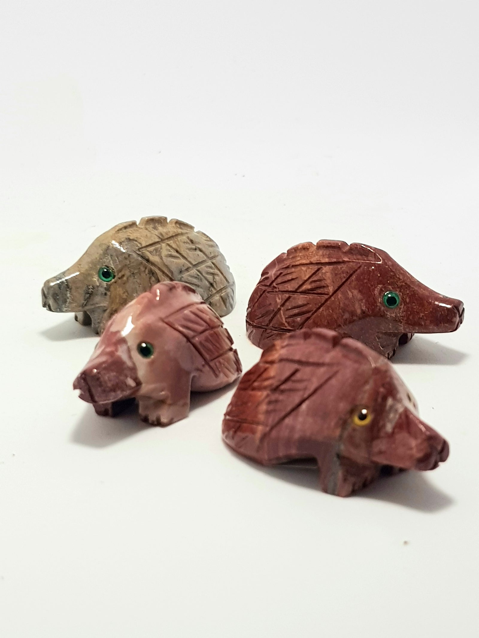 Echidna - The Science of Magic 