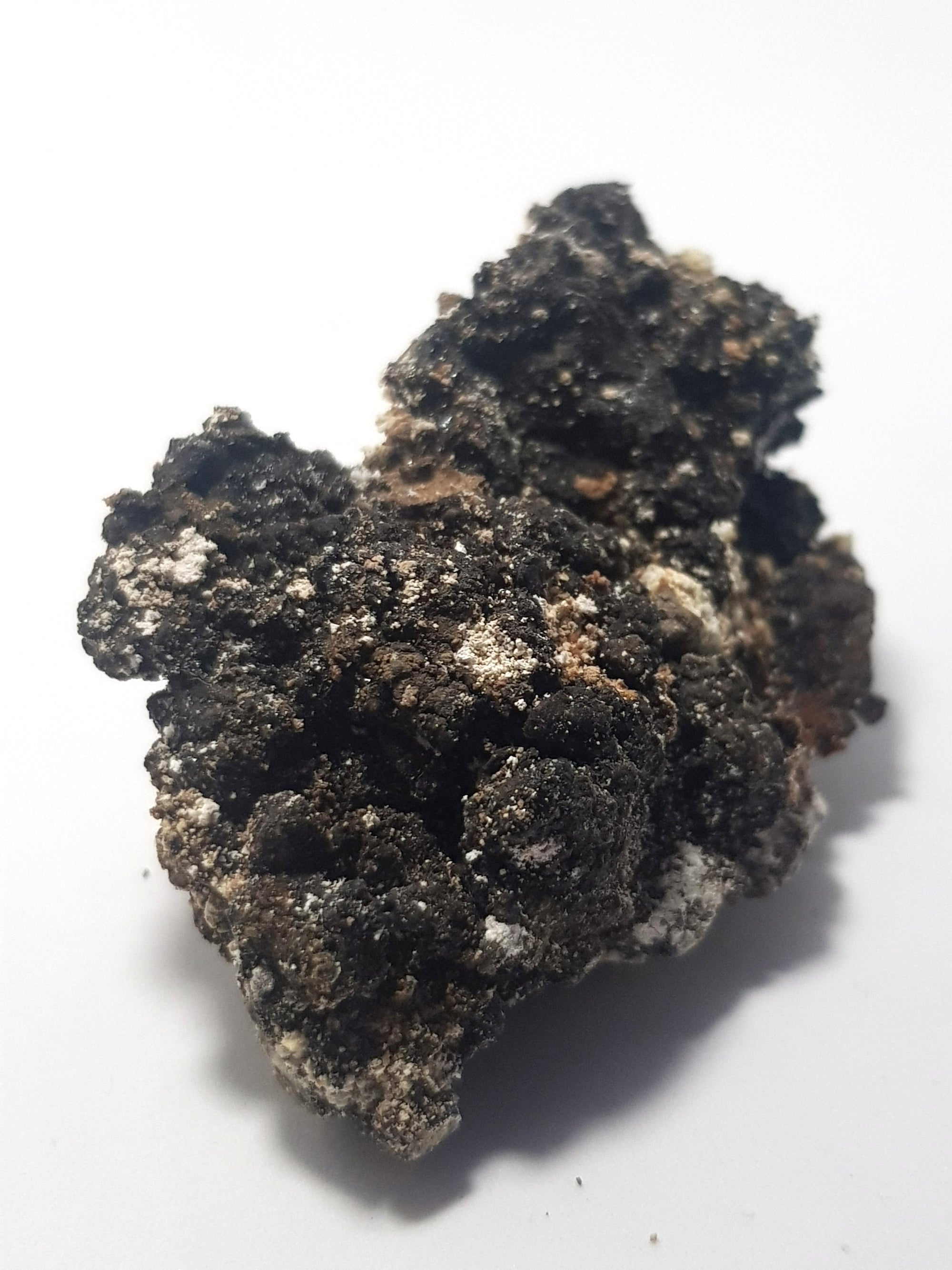 A sample of elaterite. The sample is irregularly shaped. The surface consists of black bubbles of illiterate as well as smaller sections of a white and orange material.