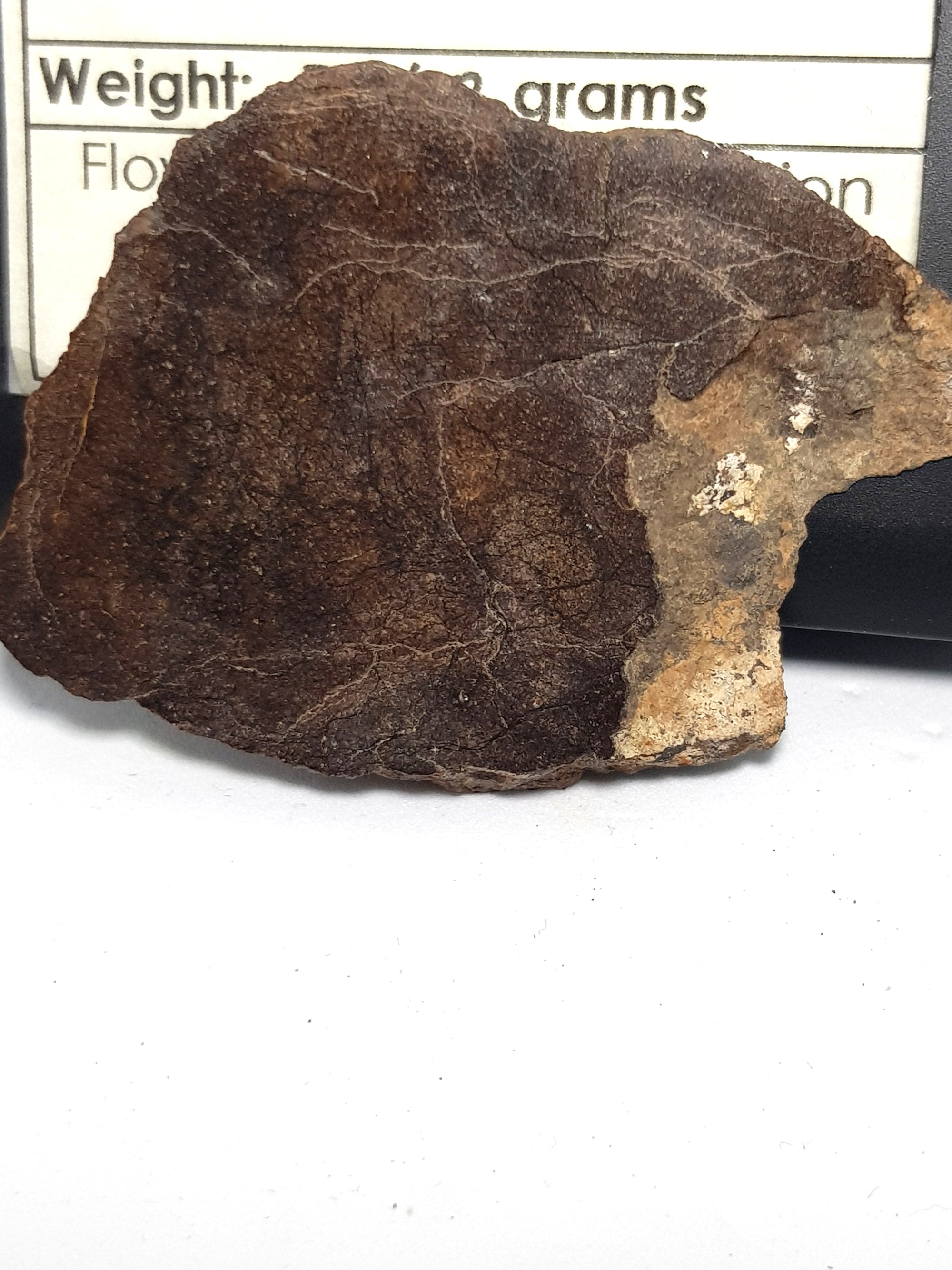 NWA 2965 (Enstatite chondrite) - The Science of Magic 