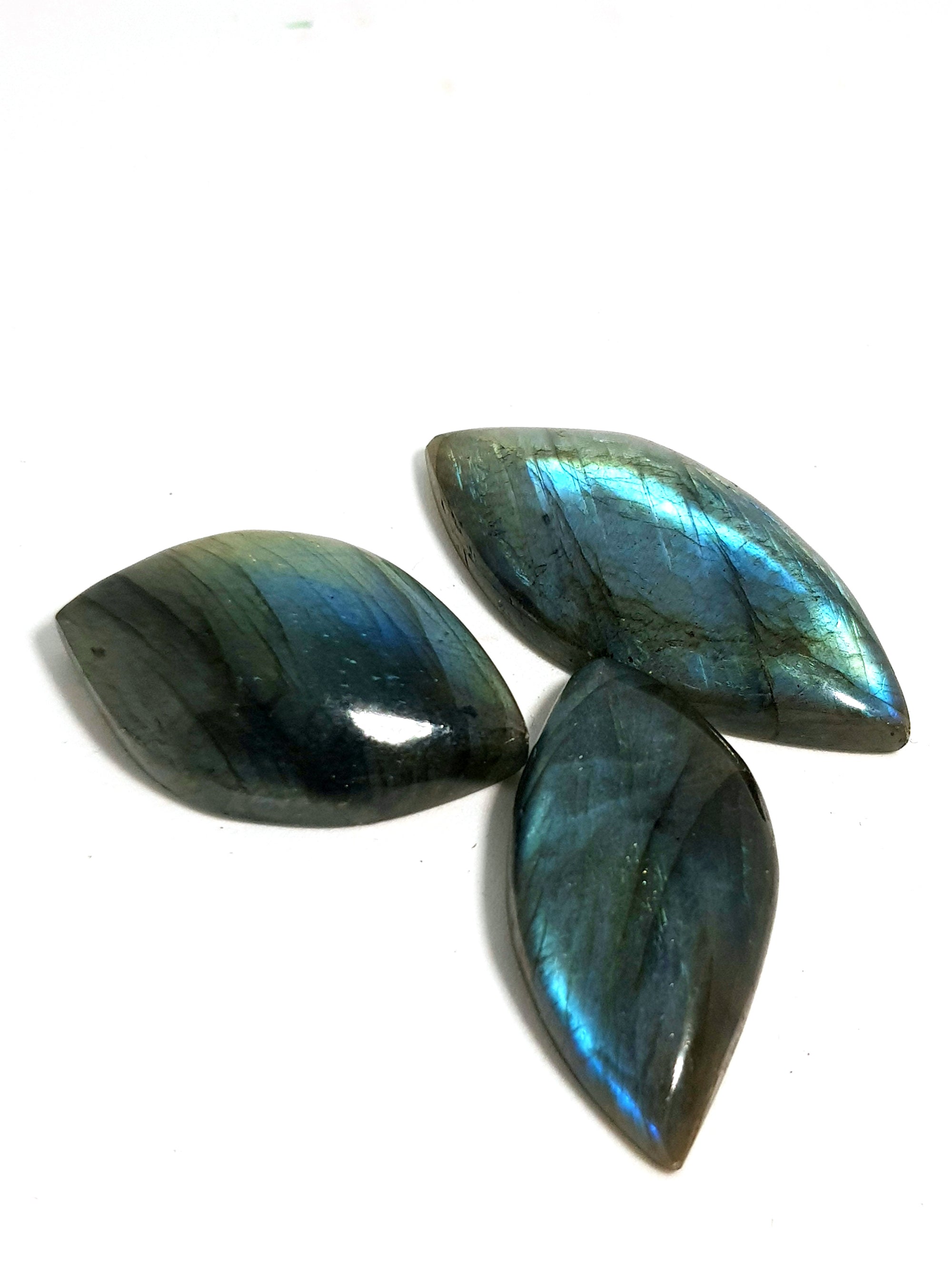 tear shaped polished pieces of labradorite with a flat back and beveled sides 