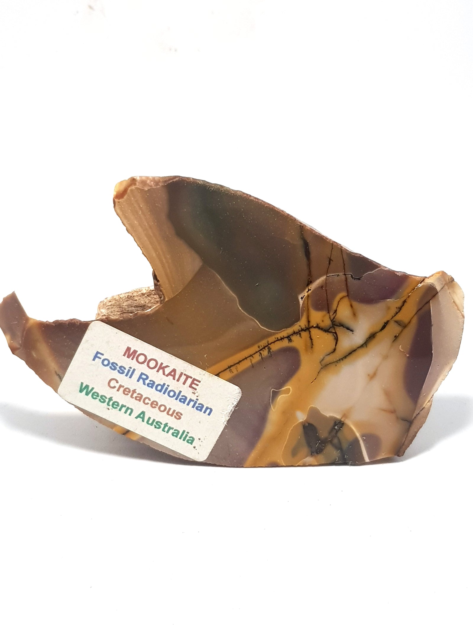 A polished slice of mookaite. This piece is predominantly yellow/beige, but colours vary in blocks and there is a vein of yellow which gives the sample a net like appearance.