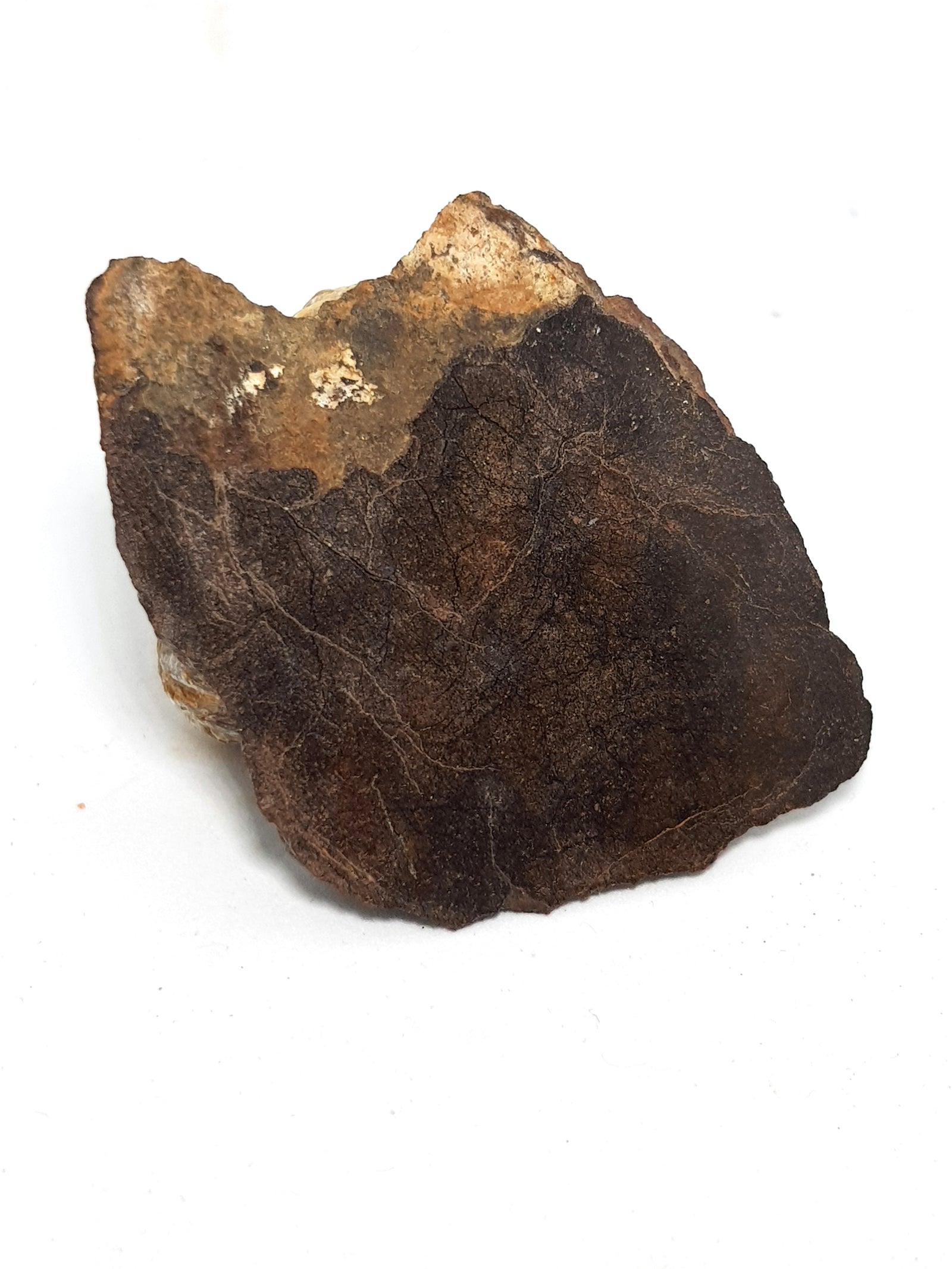 NWA 2965 (Enstatite chondrite) - The Science of Magic 