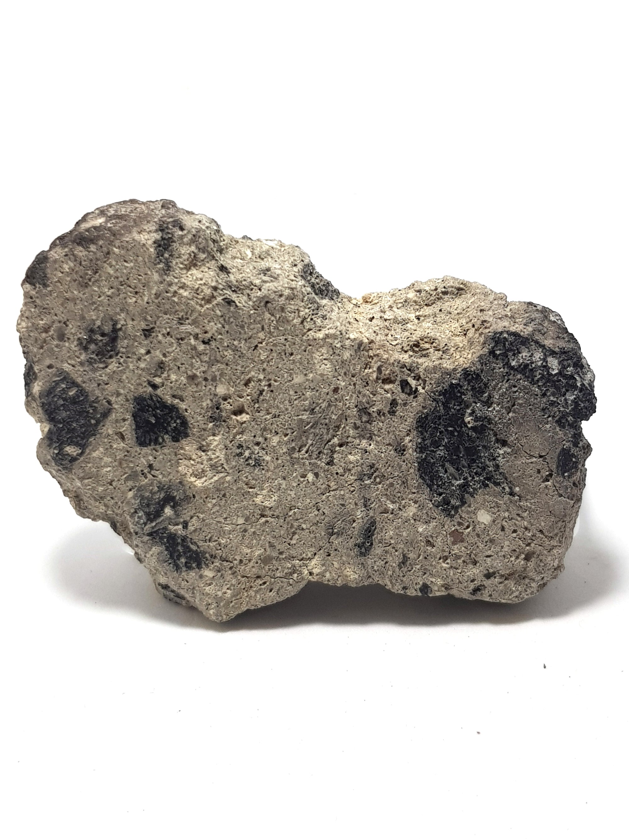 This is a slice of impact breccia from the reis crater. it largely consists of a grey/beige suevite matrix. There are several large angular clasts of a black material (about 5% of the shown surface) as well a rare inclusions of a orange material (visible in close up)